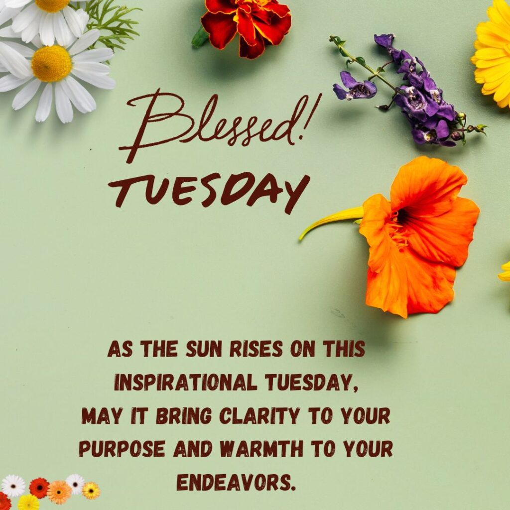 Good Morning Tuesday Blessing Images