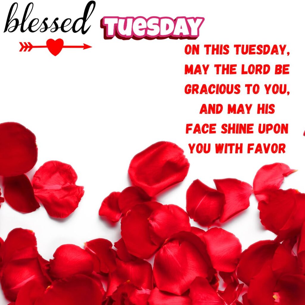 Good Morning Tuesday Blessing Rose Petal Images