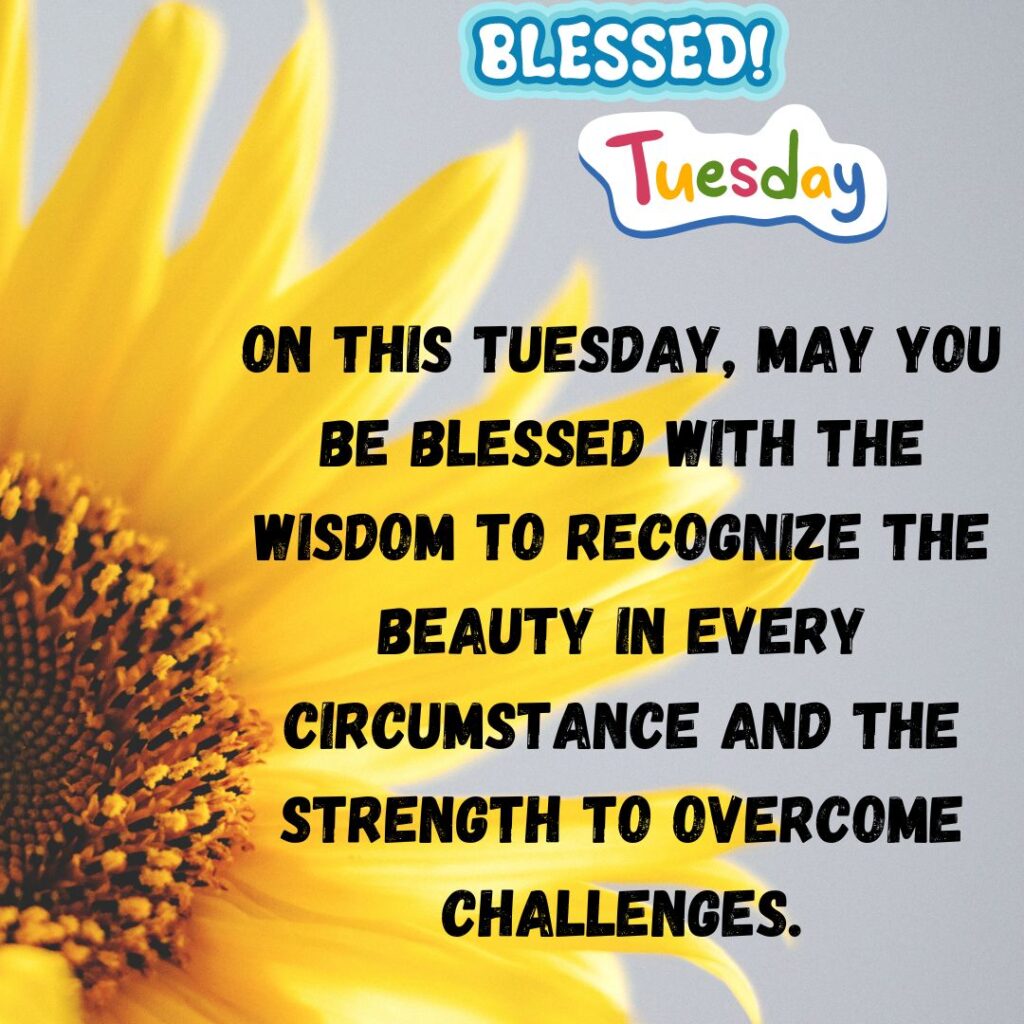 Sunflower Tuesday Blessing Images