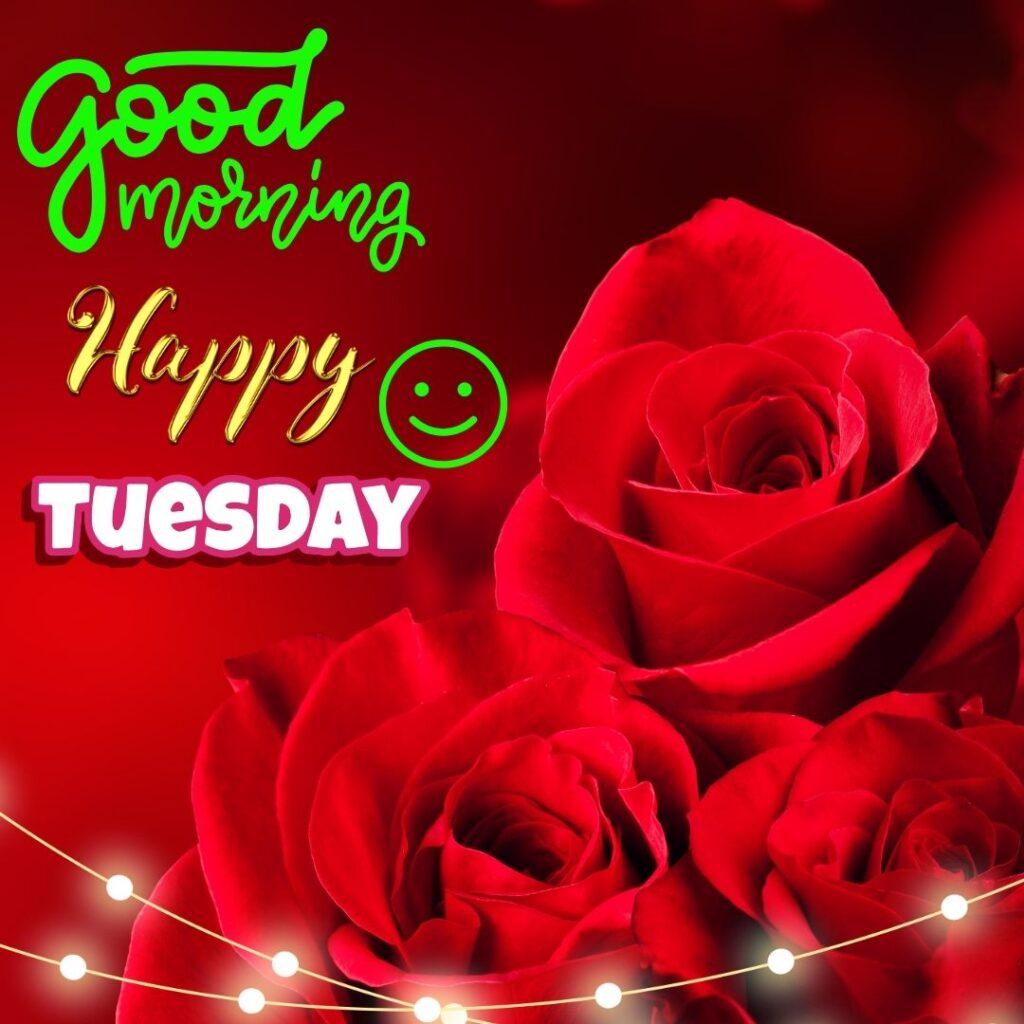 Good Morning Tuesday Wishes