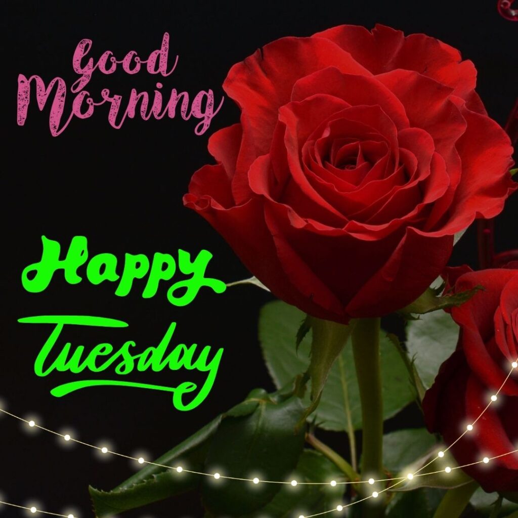 Good Morning Tuesday lovely Images