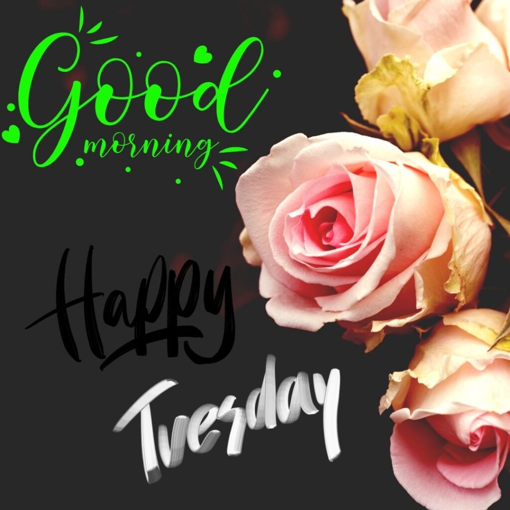 Good Morning Tuesday Images text