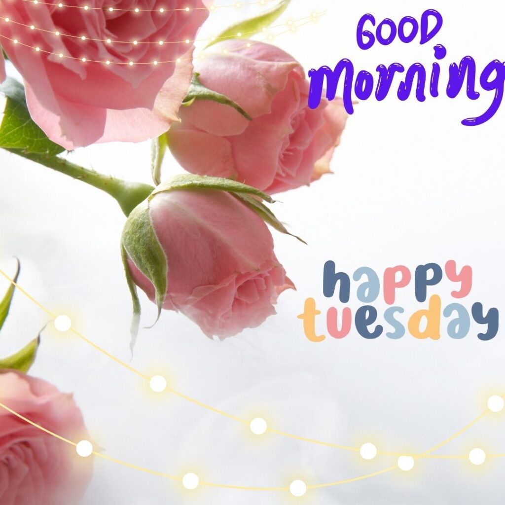 Wishing Good Morning Tuesday