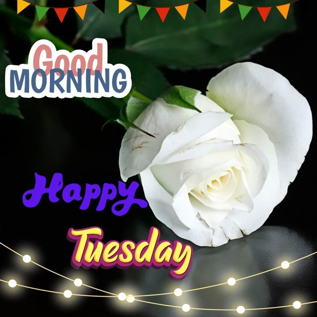 Lovely Good Morning Happy Tuesday Images 