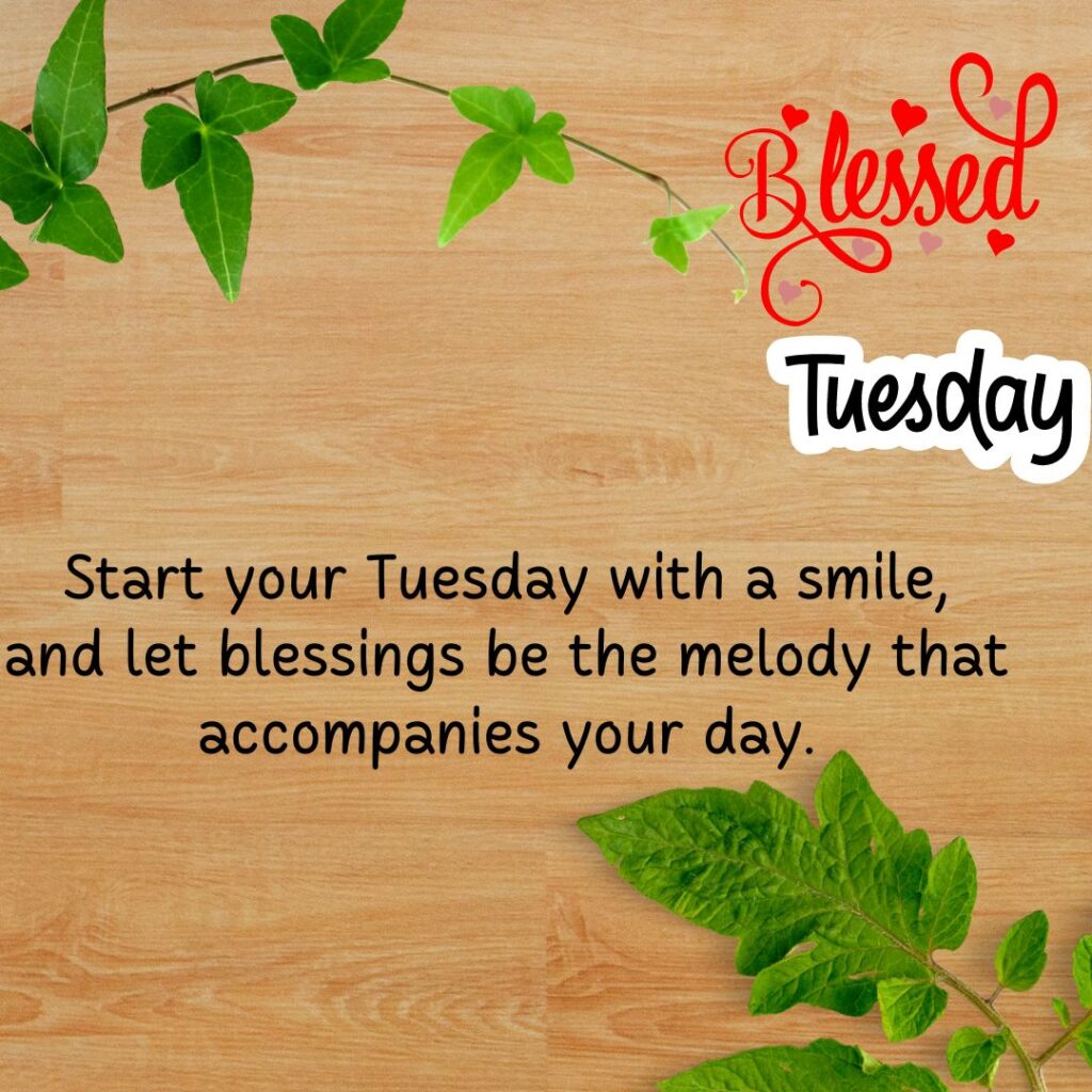 Morning Tuesday Quotes