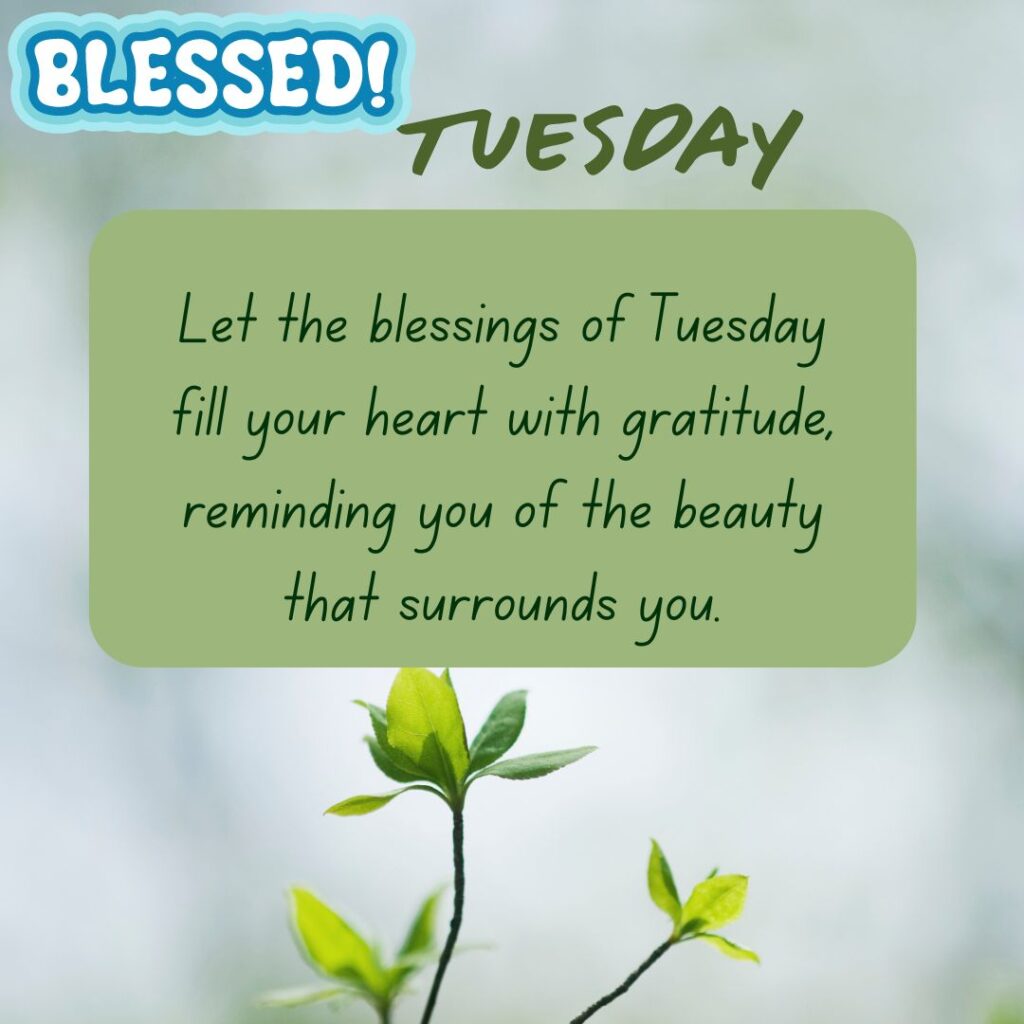 Gratitude Good Morning Tuesday Quotes