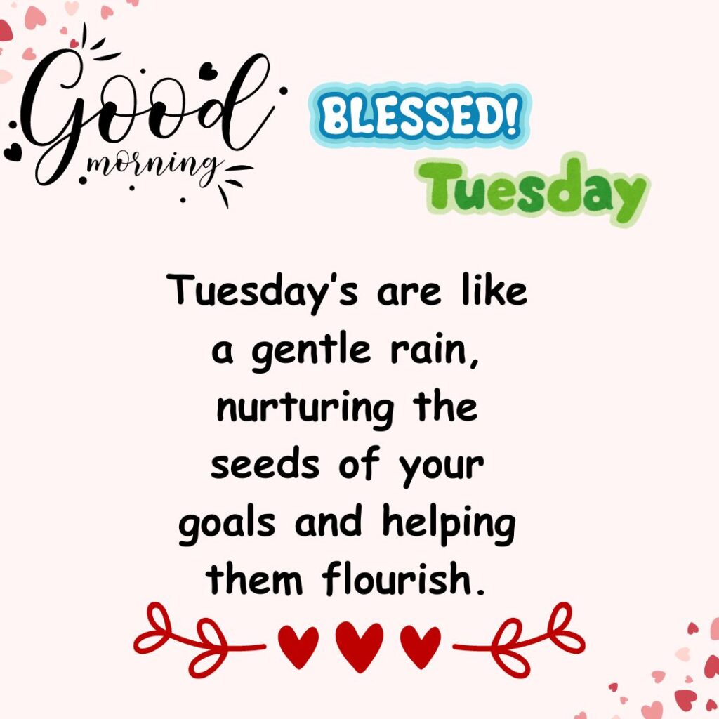 Blessed Morning Tuesday Quotes