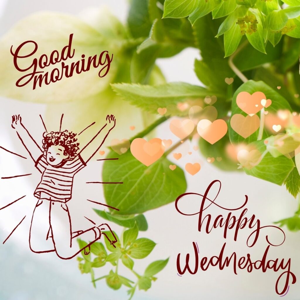 Happy Good Morning Wednesday Images