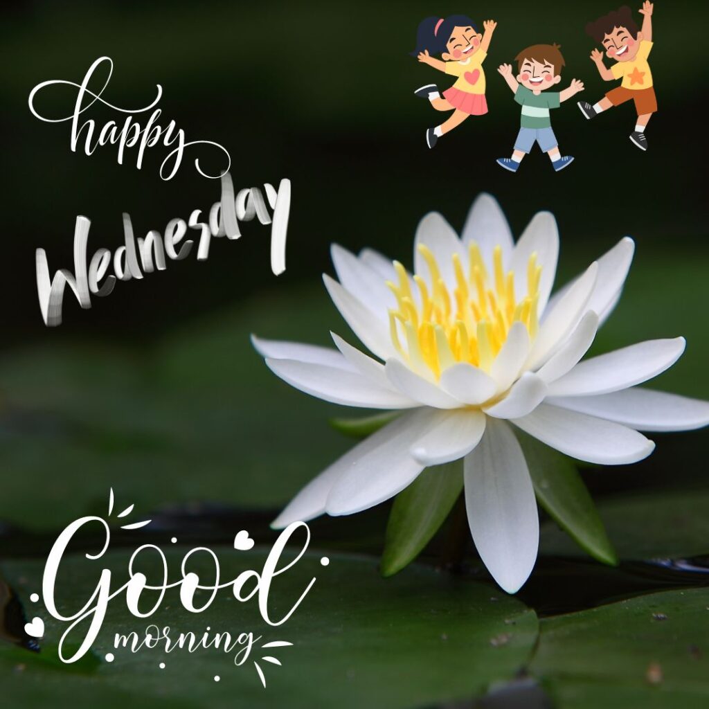 Good Morning Wednesday Images wishes