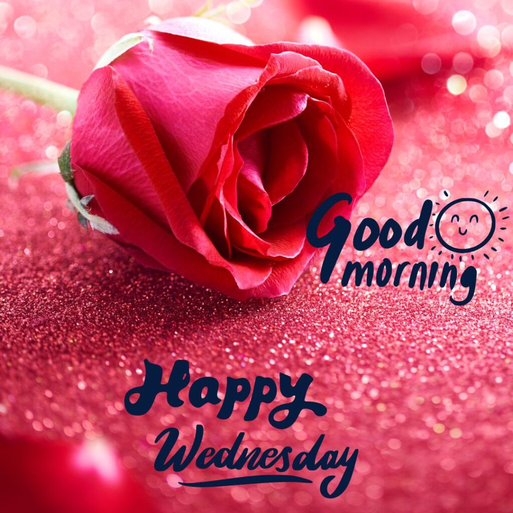 Red Roses Good Morning Wednesday Images