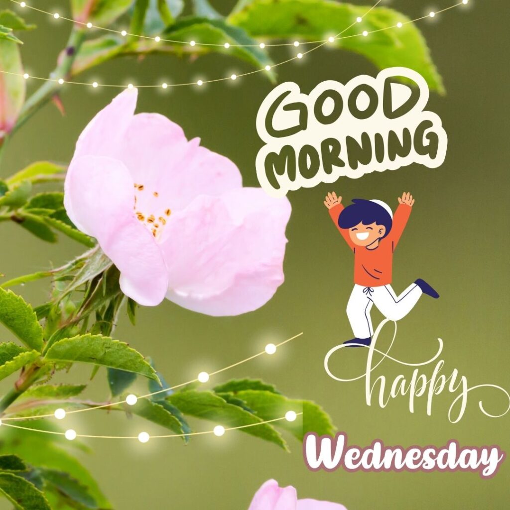 Decorative Good Morning Wednesday Images