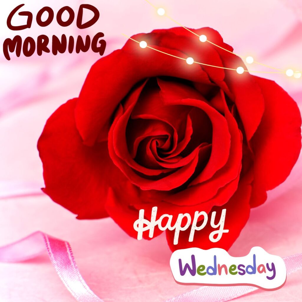 Happy Morning Wednesday Images