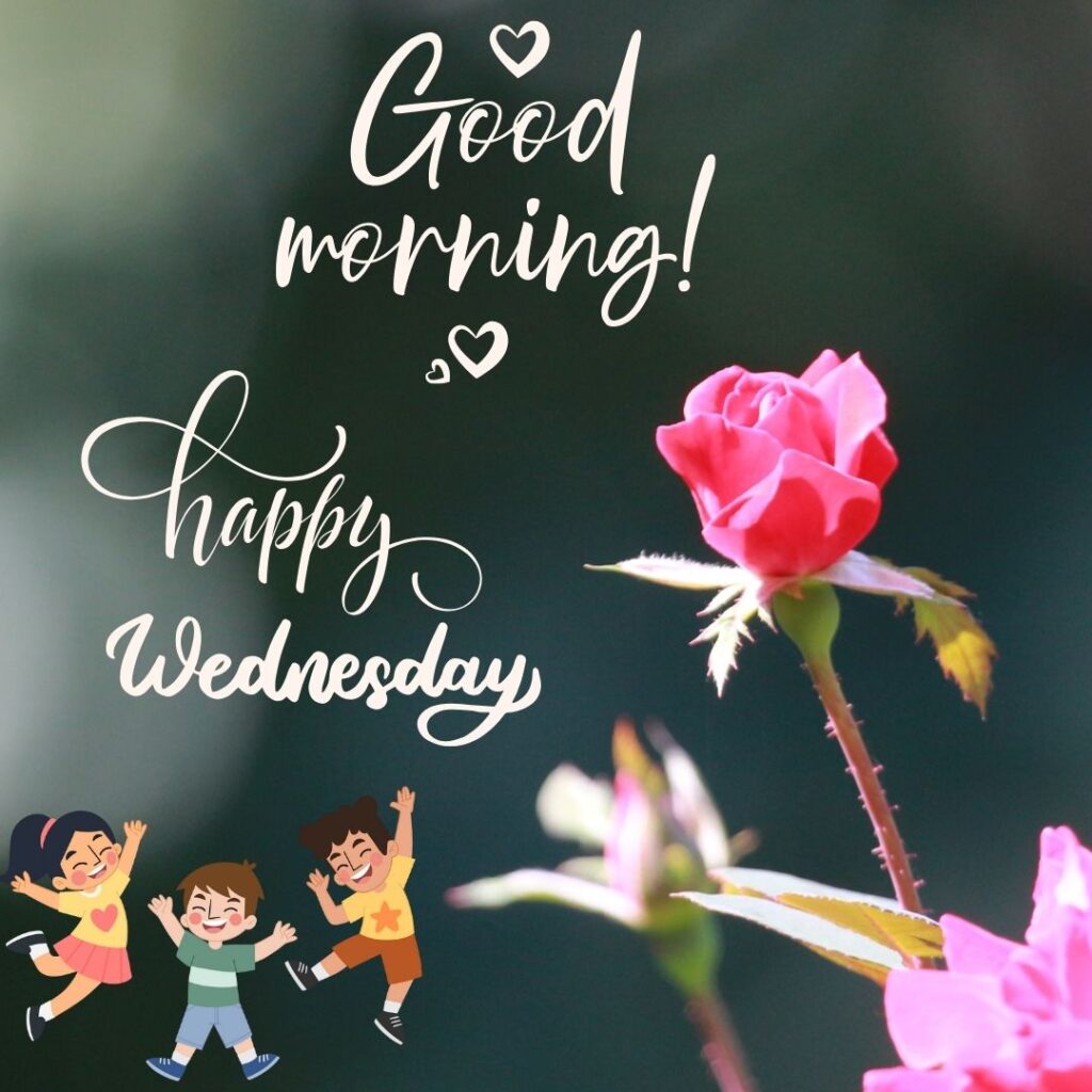 Good Morning Wednesday Pictures