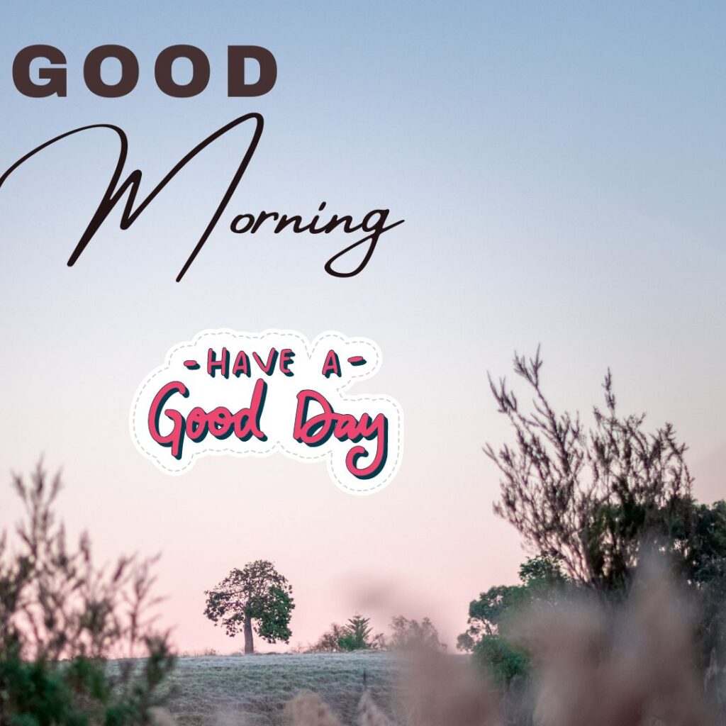 Good Day Wishes Have a good day