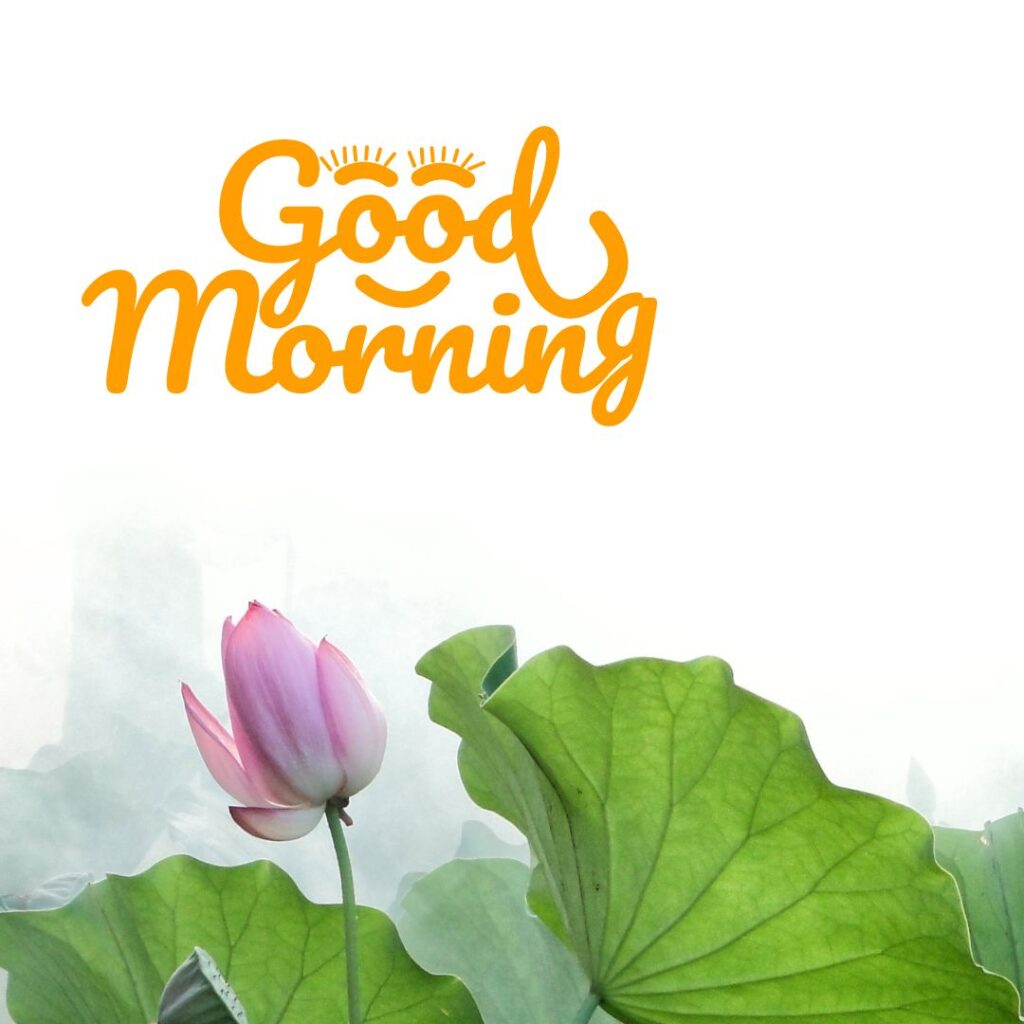 New Good Morning Images