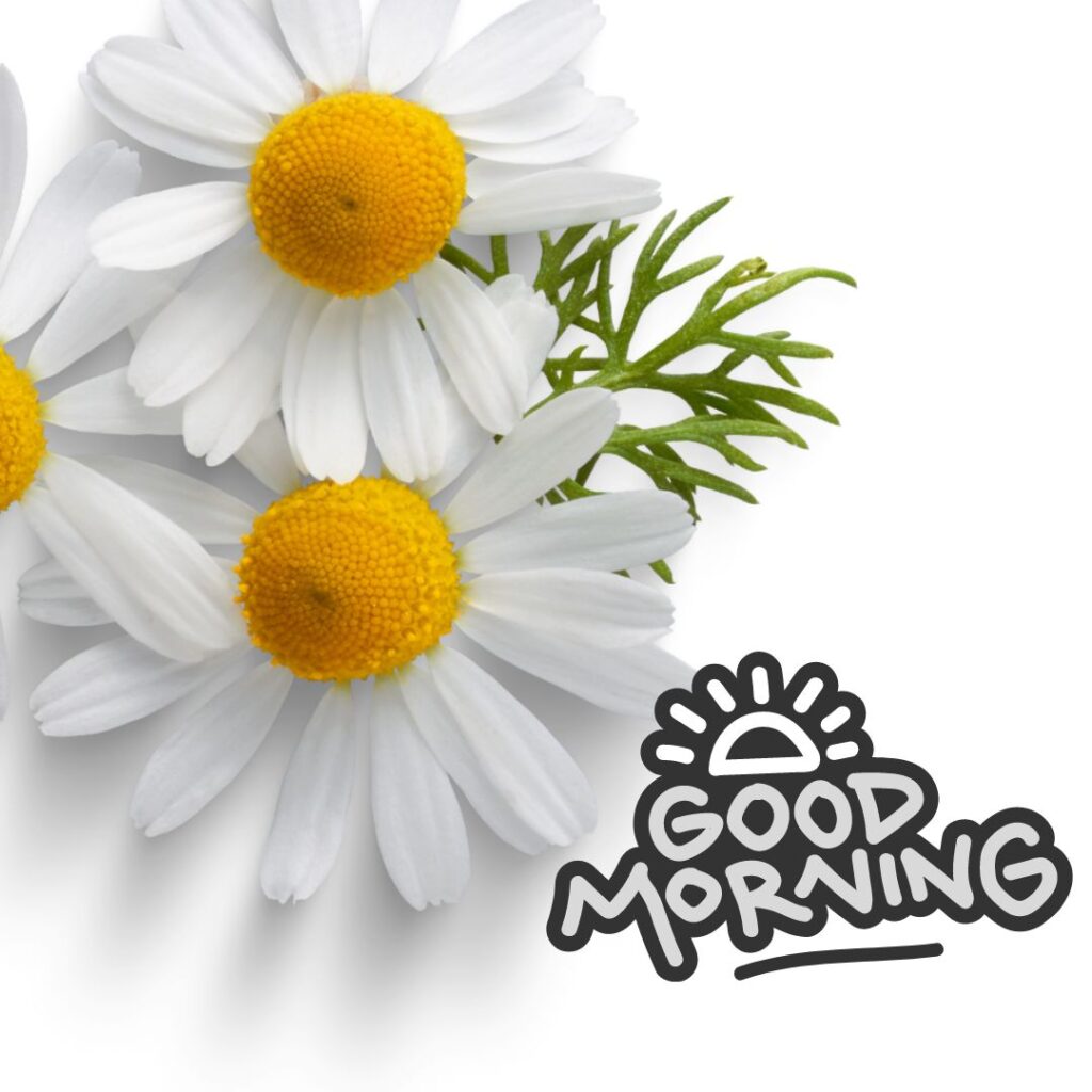 New Good Morning Images