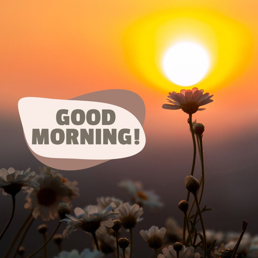 New Special Good Morning Images Love