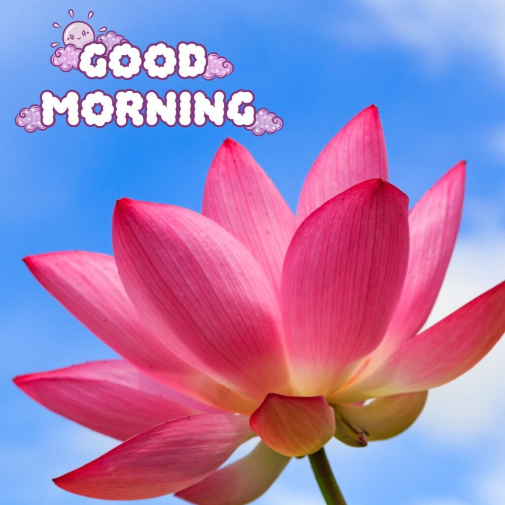 Today Special Morning Images