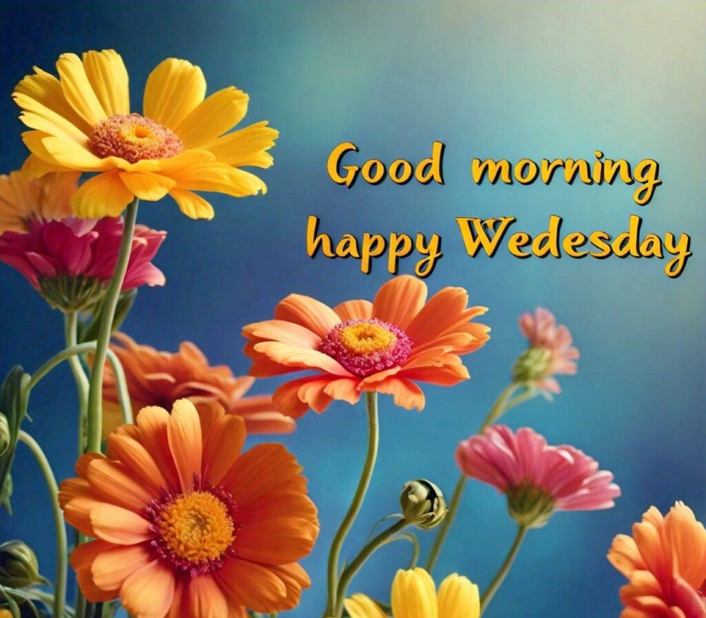 Good Morning Happy Wednesday Images