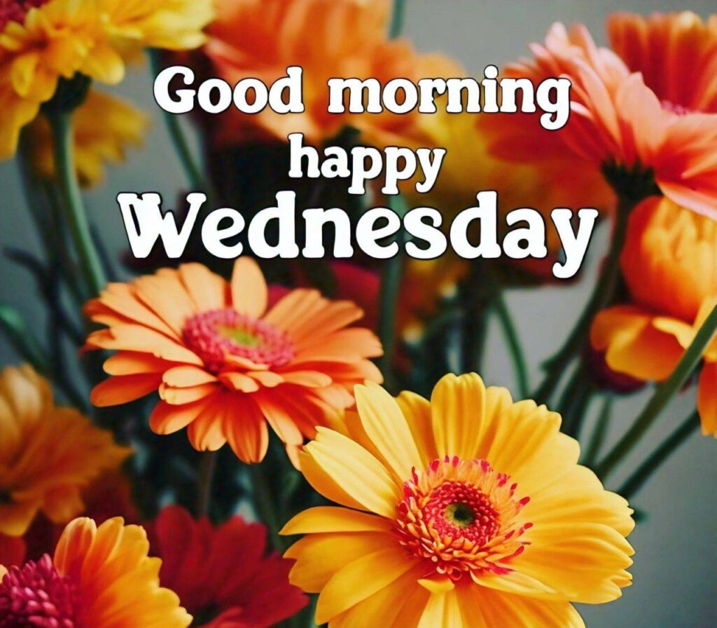 Good Morning Happy Wednesday Images