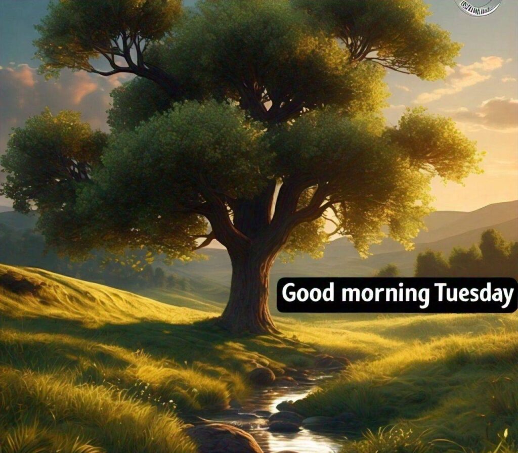 Good Morning Tuesday Images