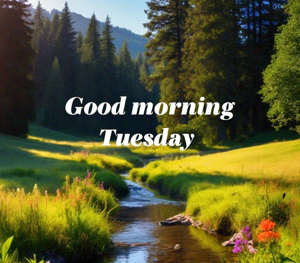 Good Morning Tuesday Images