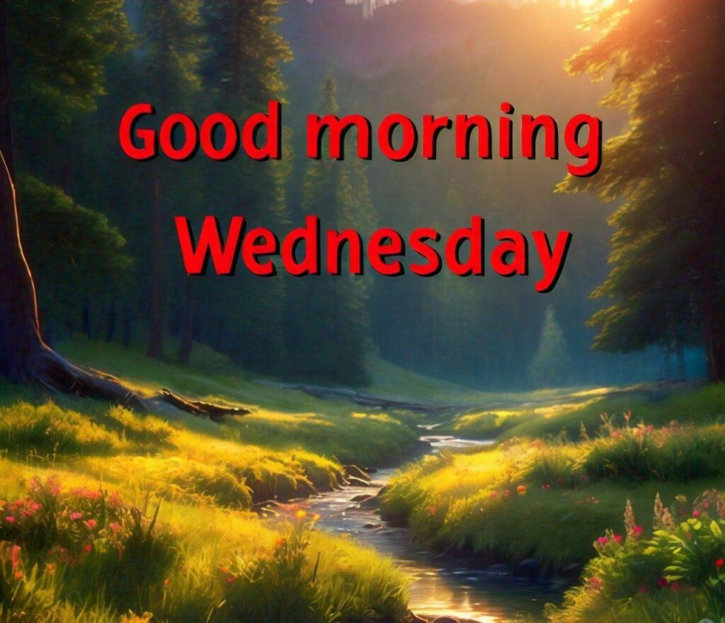 Good Morning Wednesday Images