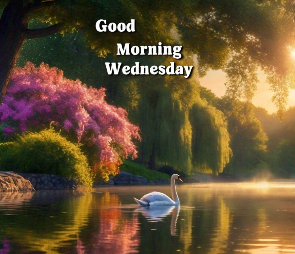 Good Morning Wednesday Images