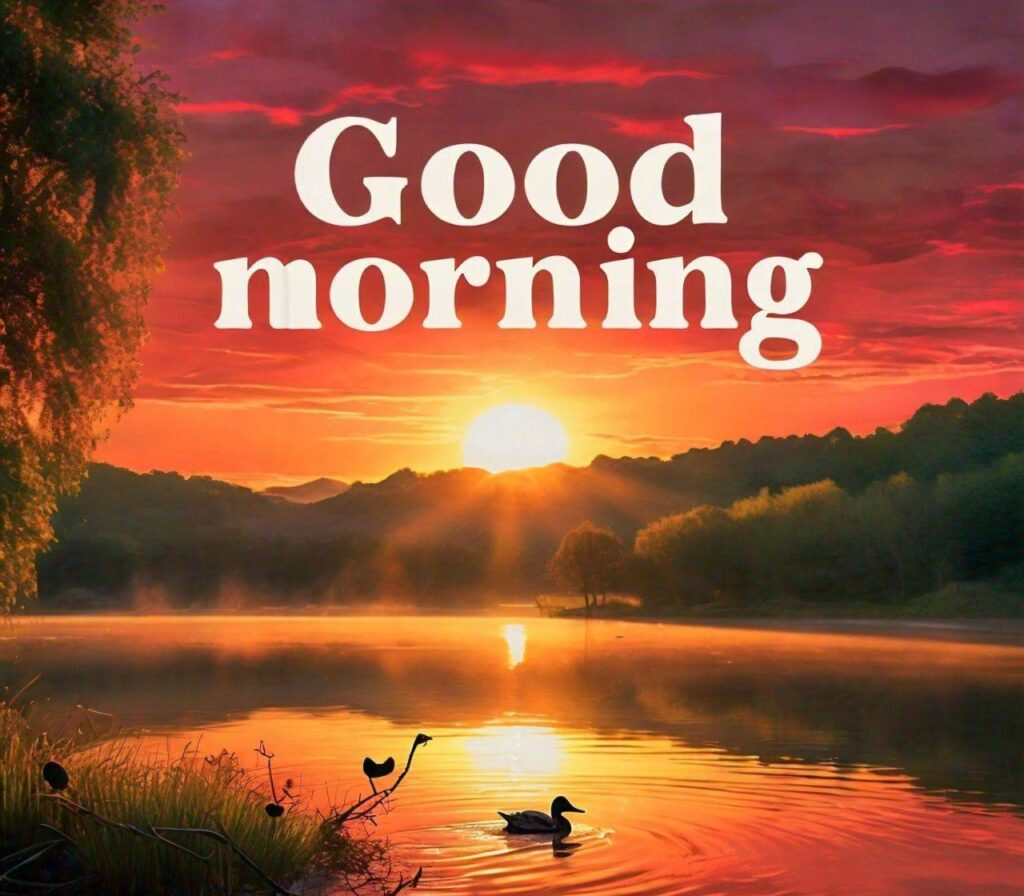 Today special Lovely Good Morning Images Download free