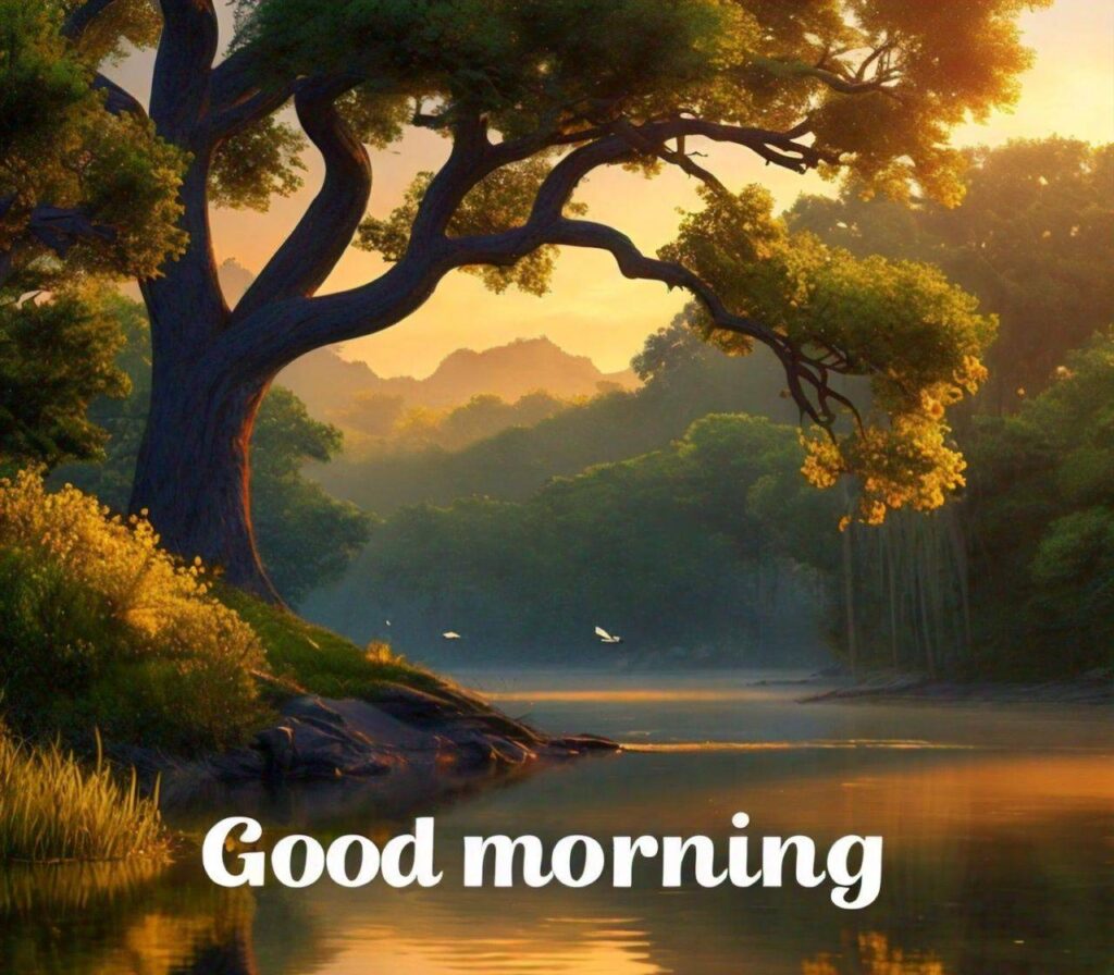 Good Morning Images Hd 1080p Download for WhatsApp