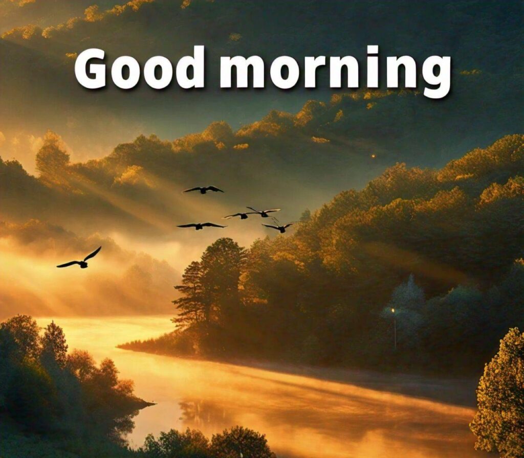 Good Morning Images Hd 1080p Download for WhatsApp