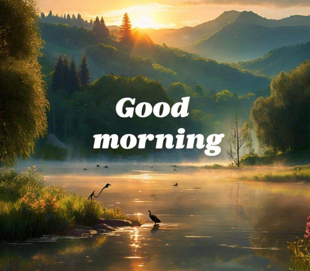 Good Morning Images Hd 1080p Download for WhatsApp