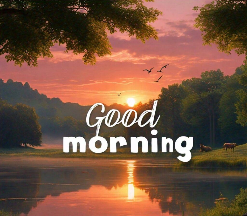 Good Morning Images Hd 1080p Download for WhatsApp