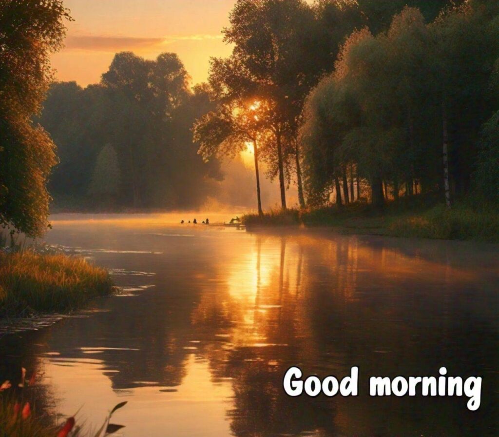 Good Morning Images Hd 1080p Download for WhatsApp