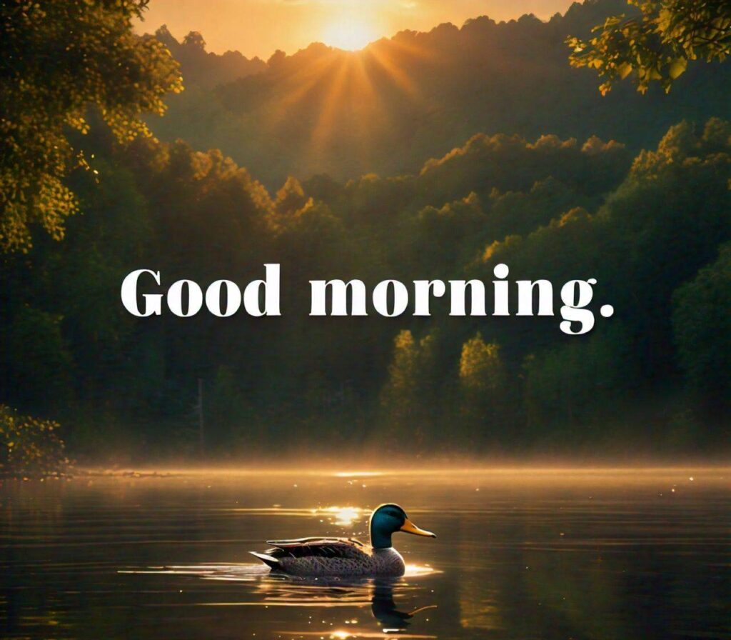 Good Morning Images Hd 1080p Download for WhatsApp