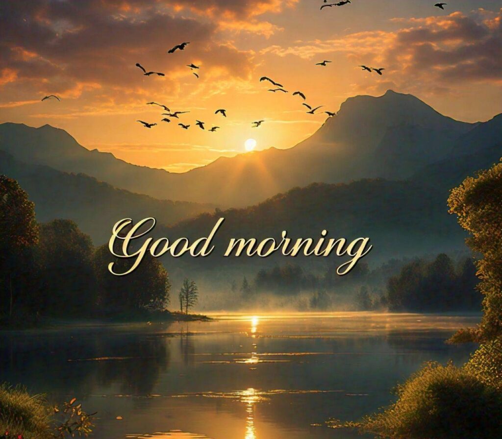 Good Morning Images Hd 1080p Download for WhatsApp