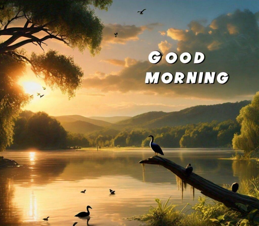 Good Morning Images Hd 1080p Download for WhatsApp