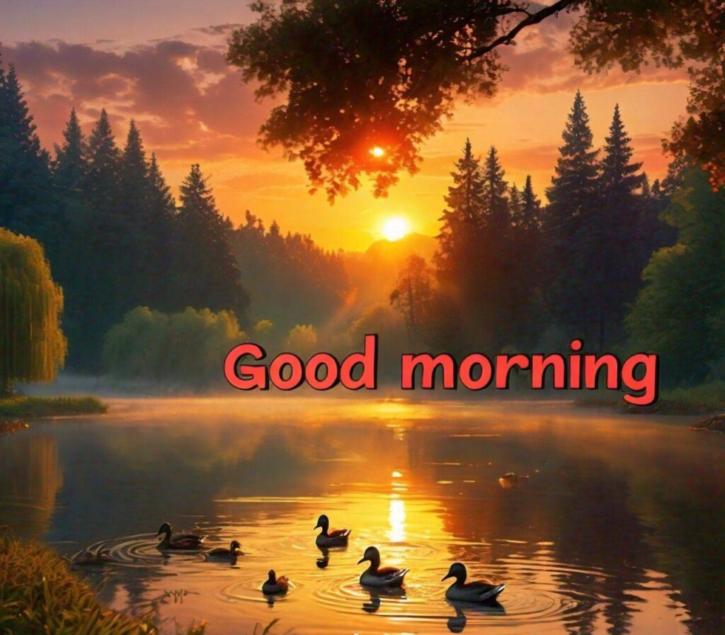 Good Morning Images Hd 1080p Download for WhatsApp