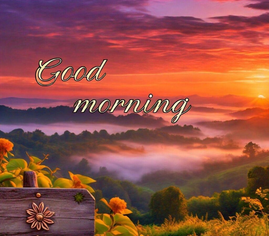 Good Morning Images Hd 1080p Download for WhatsApp