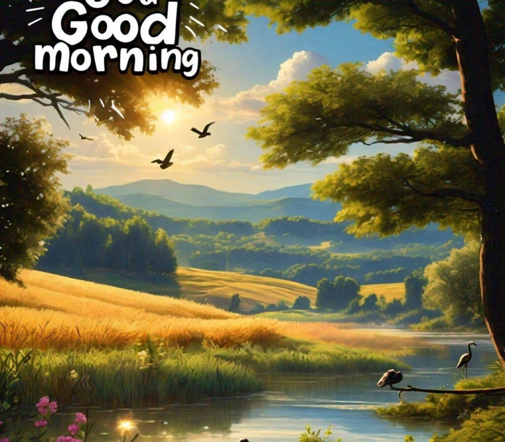 Good Morning Images Hd 1080p Download for WhatsApp