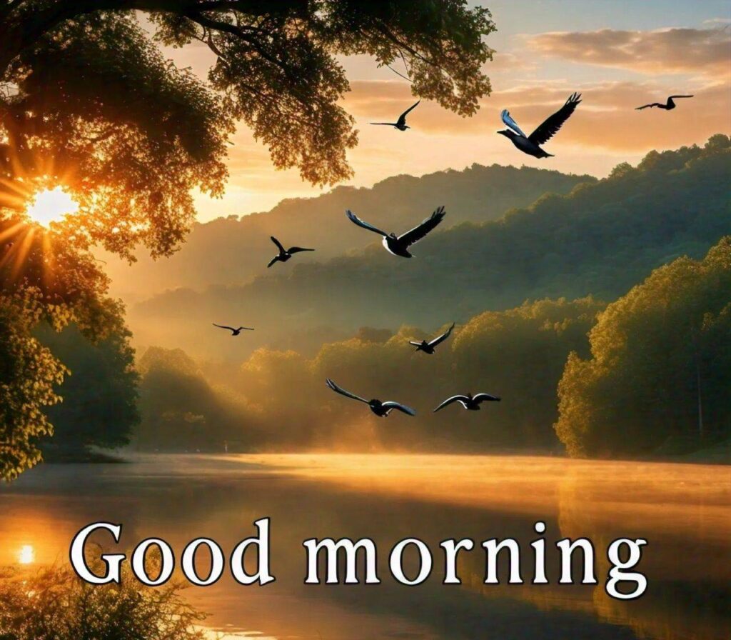 Good Morning Images Hd 1080p Download for WhatsApp