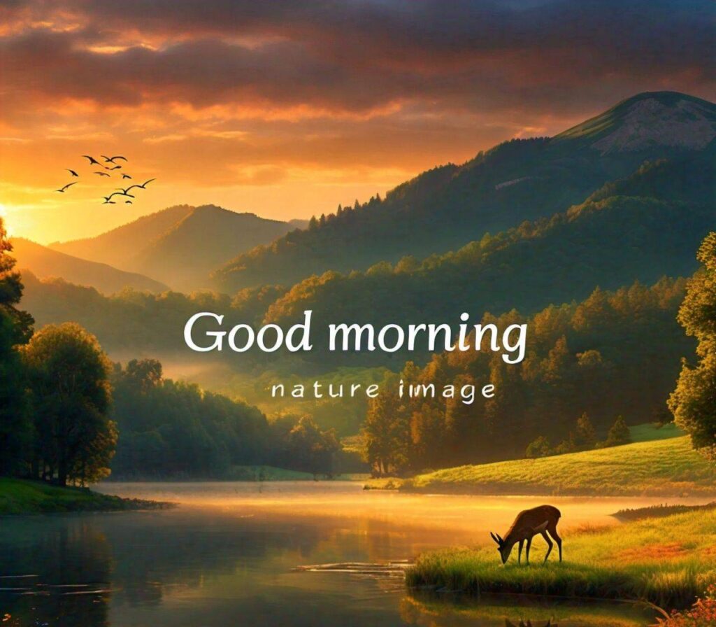 Good Morning Images Hd 1080p Download for WhatsApp