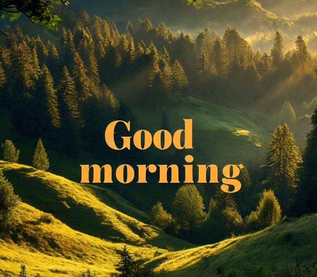 Good Morning Images Hd 1080p Download for WhatsApp