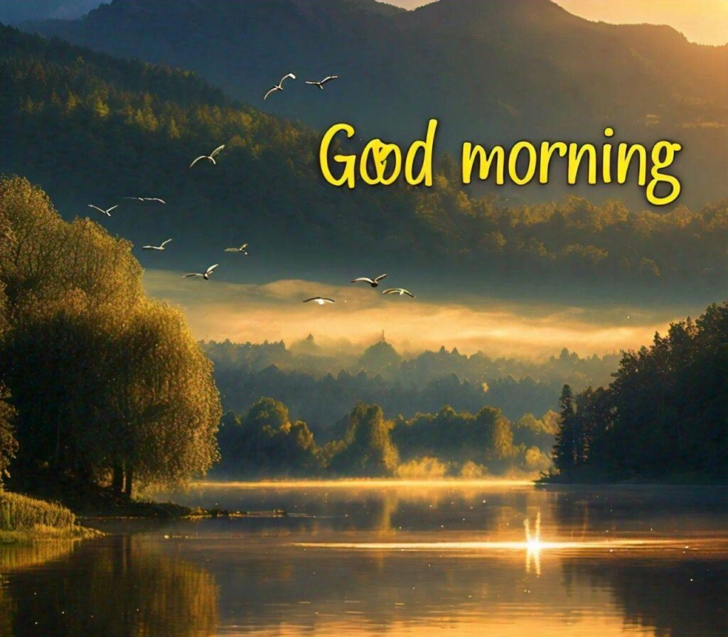 Good Morning Images Hd 1080p Download for WhatsApp