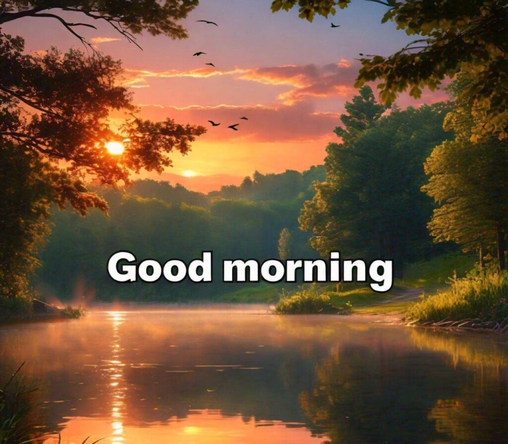 Good Morning Images Hd 1080p Download for WhatsApp