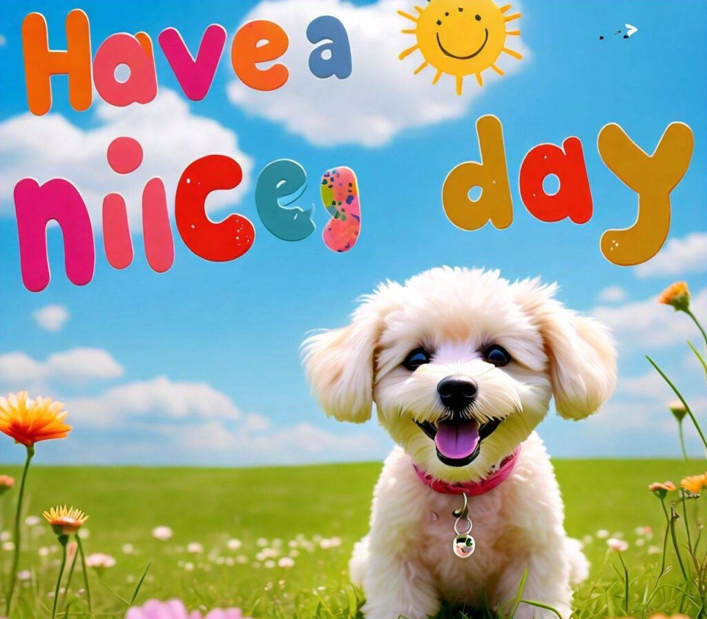 Have a nice day