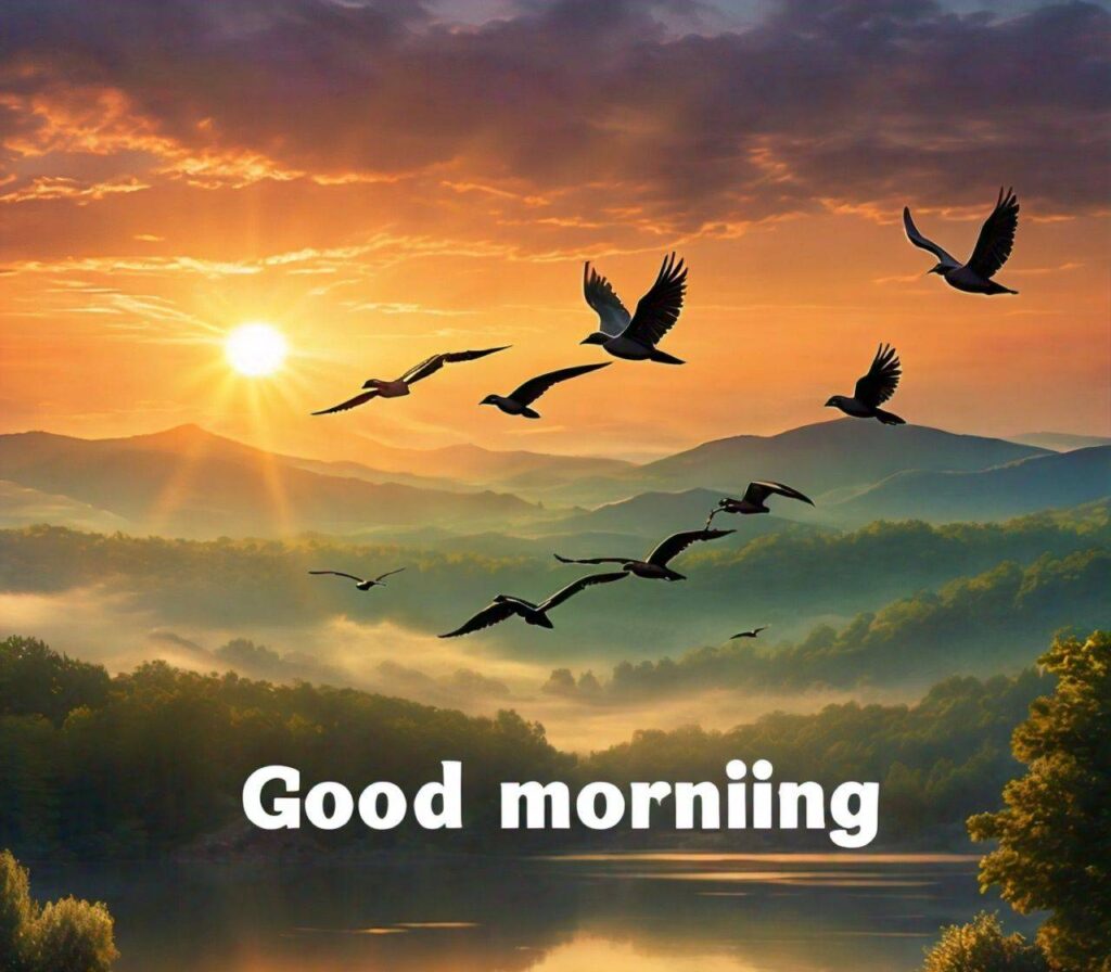 Images of Good Morning